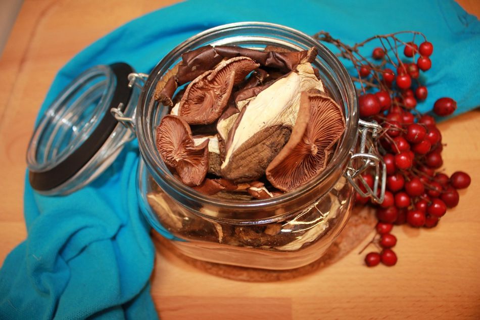 Mushroom extract supplementation: when and how to safely use it